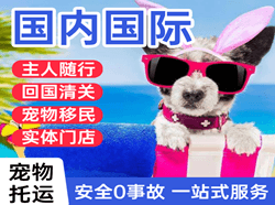龙洞堡机场托运国际宠物托运 【国